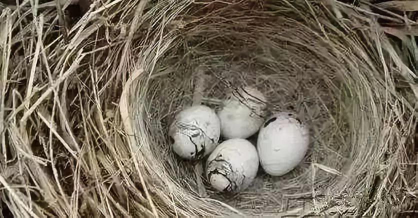 小时候没有暖气，我们这样过冬天！看完不许哭……